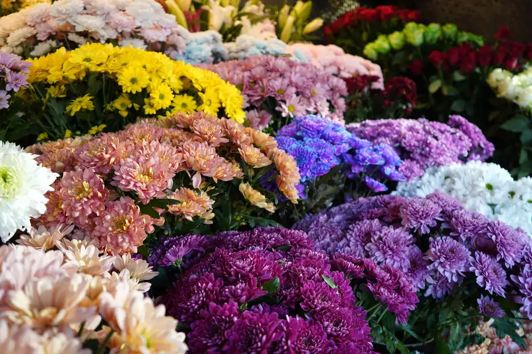 Antalya’da 8 Mart Buketleri 1.500 TL’den Başlıyor 3